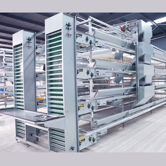 Venda quente Capacidade de aves 1250mm * 1000mm * 2015mm Barato galvanizado por imersão a quente avicultura um tipo 4 camadas que estabelece 3120/3075 equipamentos para avicultura